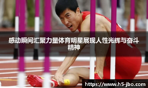 感动瞬间汇聚力量体育明星展现人性光辉与奋斗精神
